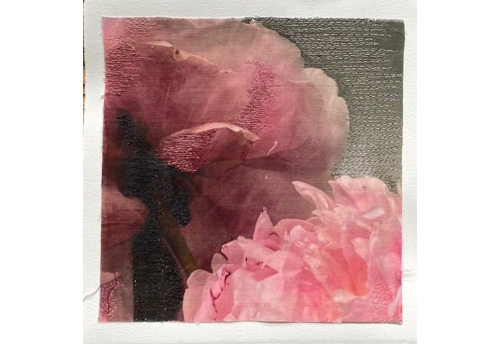 Peonies II