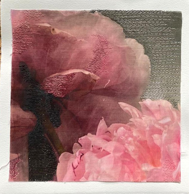 Peonies II