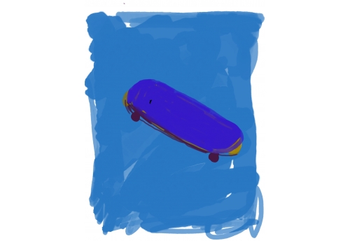 Skate board