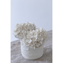 Vase Hortensias