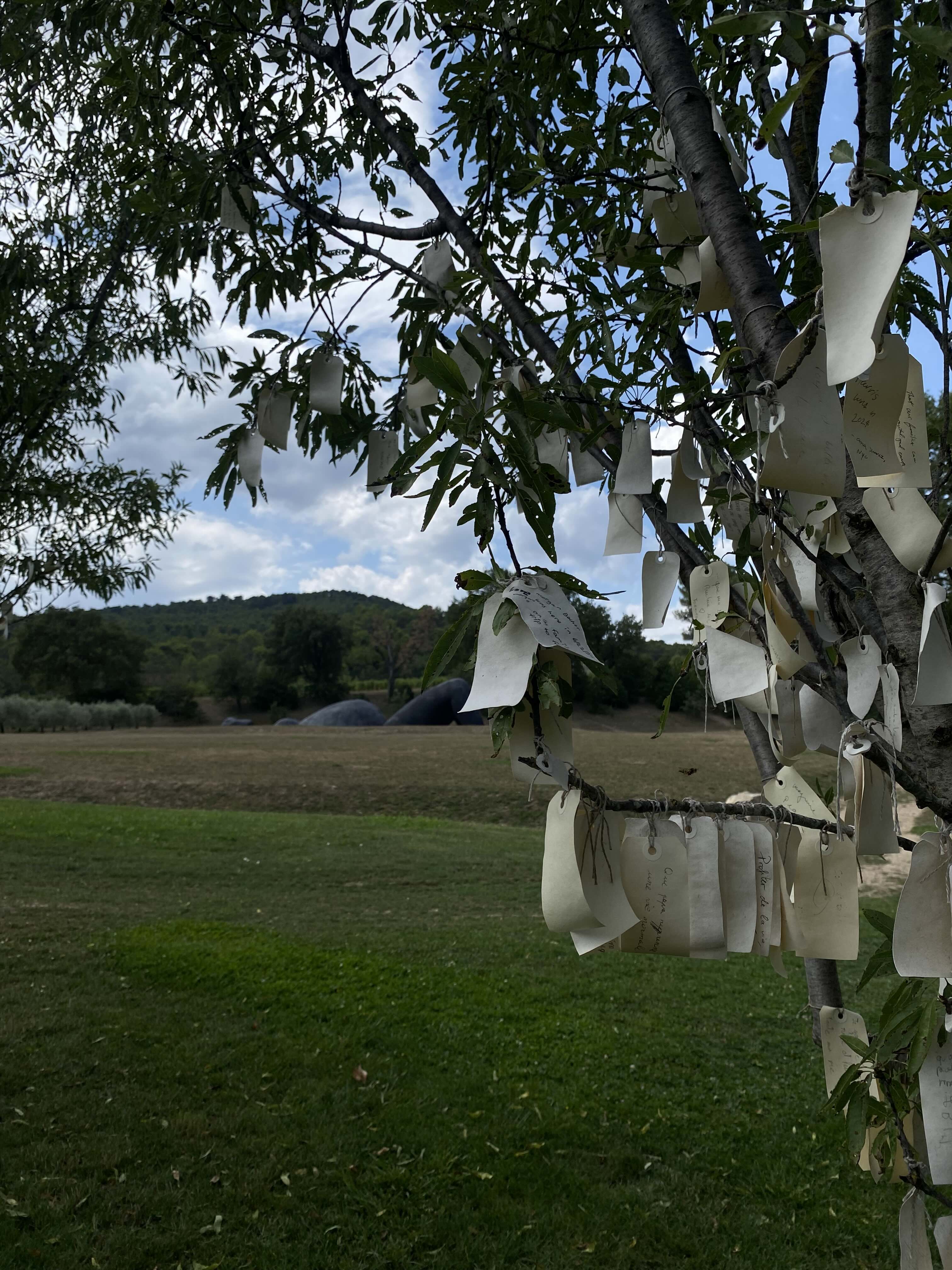 Yoko Ono - Wish trees